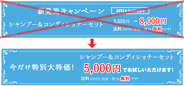 新発売キャンペーン